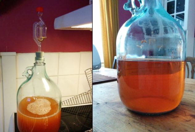 Siiderin ennen ja jälkeen käymisen.