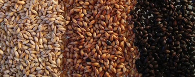 Erivärisiä maltaita